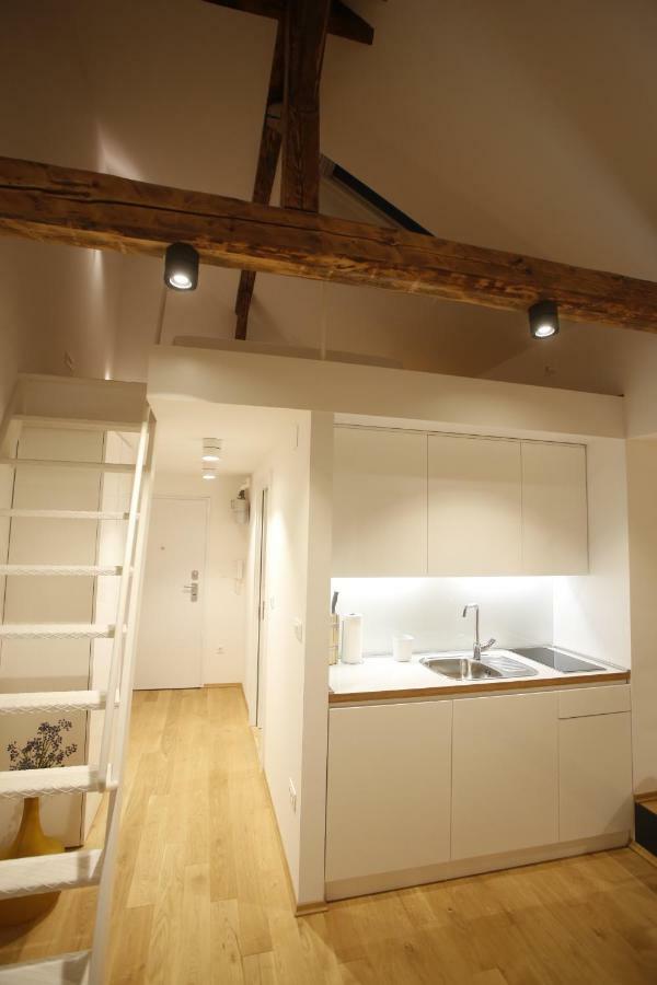 Studio Apartman Olaf Záhřeb Exteriér fotografie